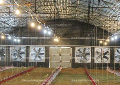 畜牧養(yǎng)殖負壓排風機 畜牧養(yǎng)殖負壓排風機