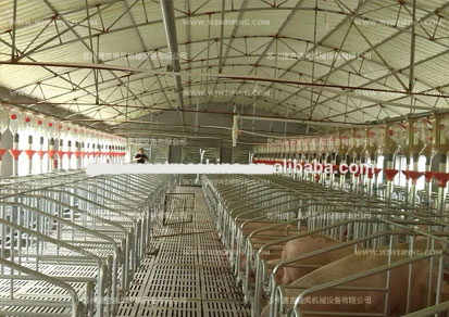 畜牧養(yǎng)殖負壓排風機 畜牧養(yǎng)殖負壓排風機