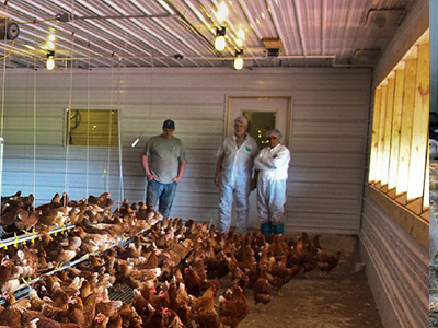 蛋雞舍怎樣安裝水冷風機？蛋雞舍水冷風機安裝步驟